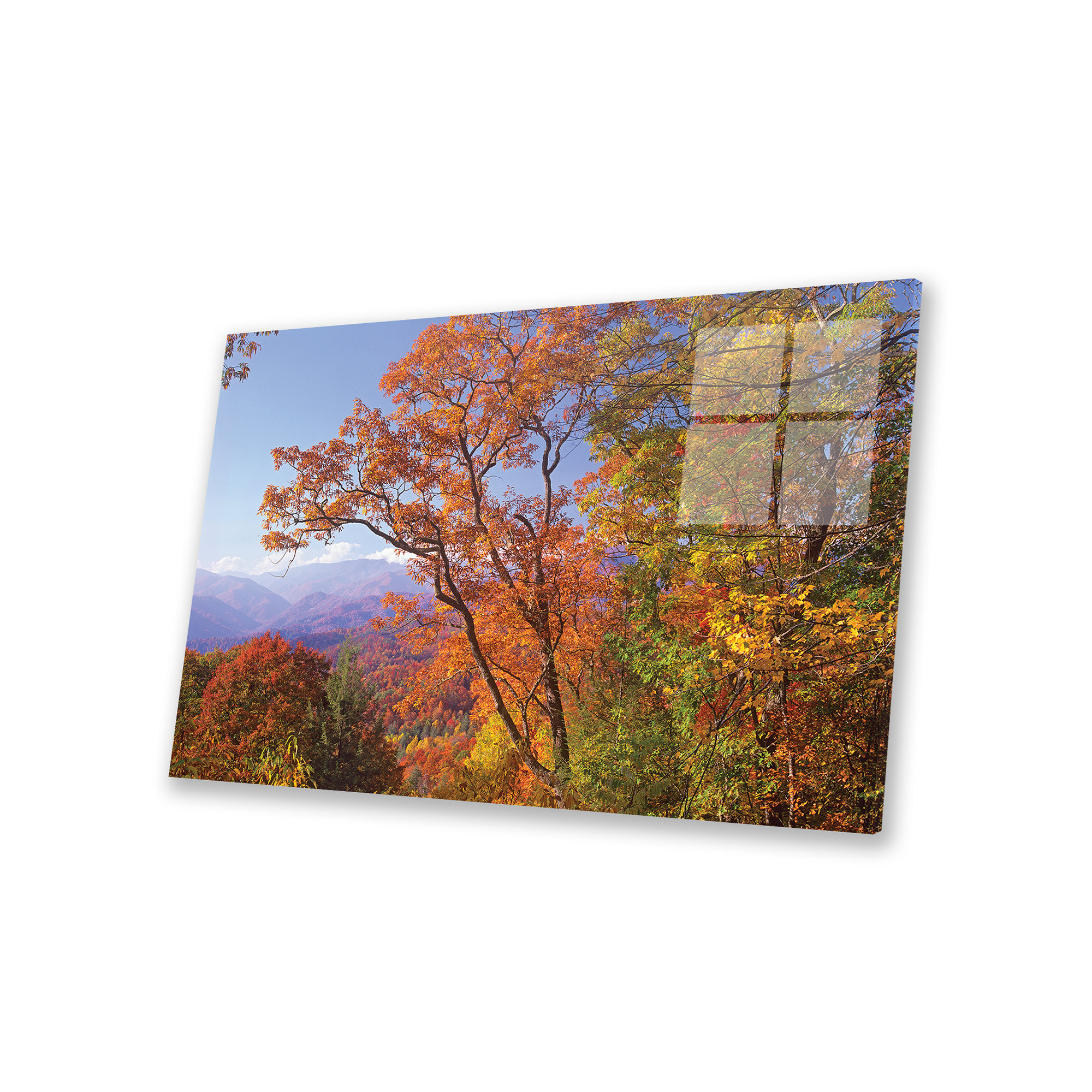 Millwood Pines Antonise " Great Smoky Mountains From, Blue Ridge Parkway, North Carolina " by